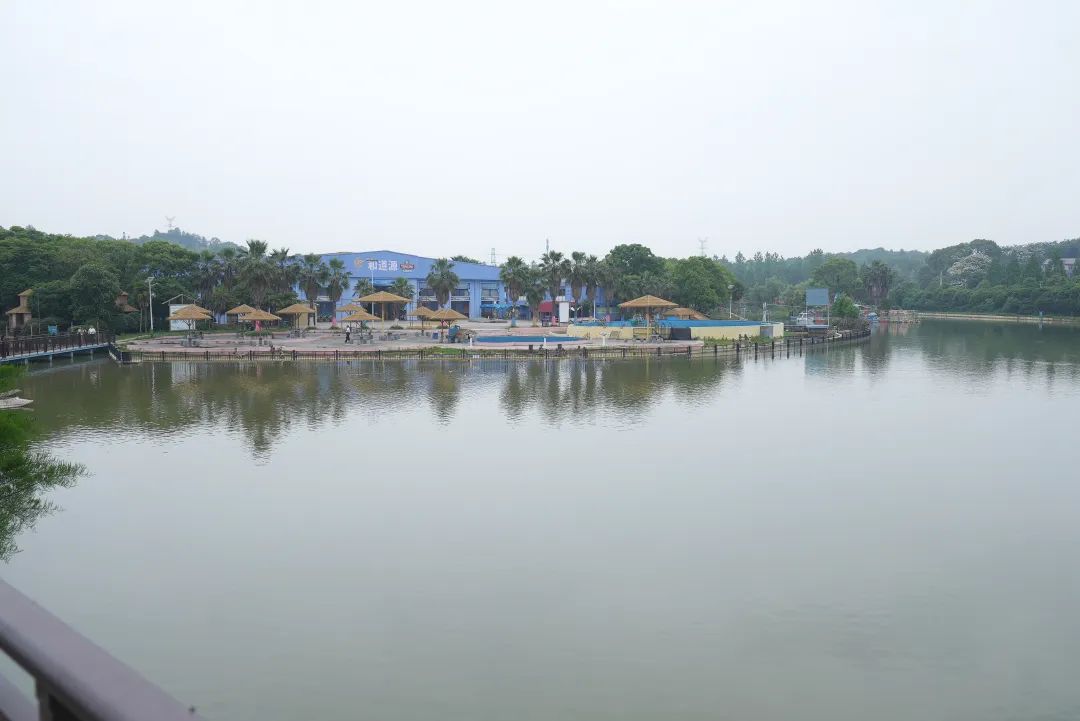 DƬ